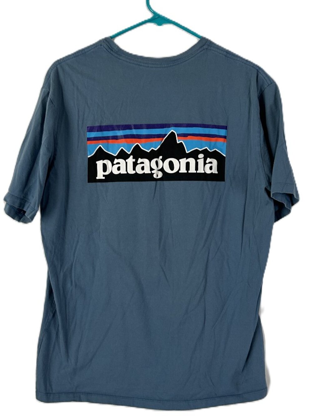 Patagonia Big Logo on Back T Shirt Blue M